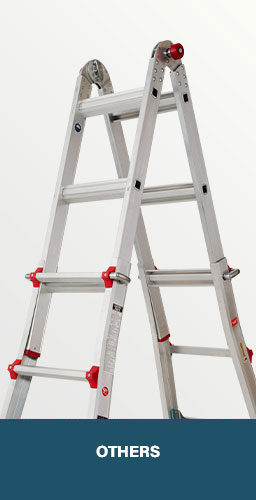 OTHERS LADDER