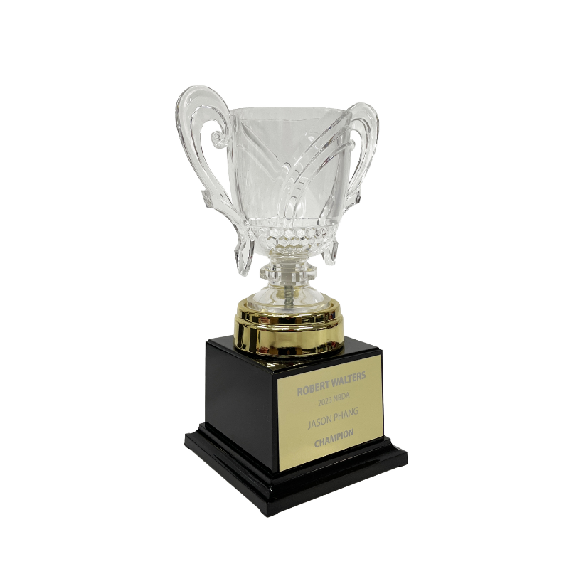 Acrylic Plaque & Trophy (431515)