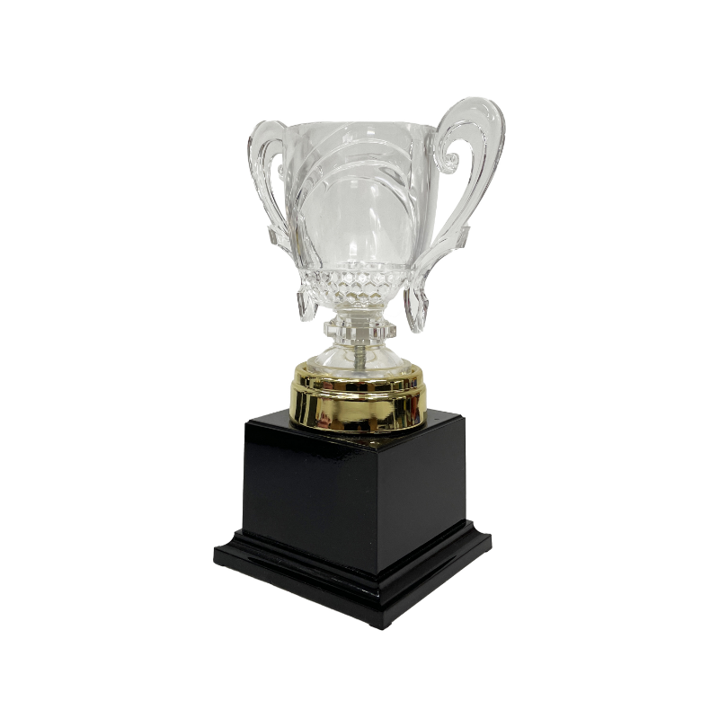 Acrylic Plaque & Trophy (431515)