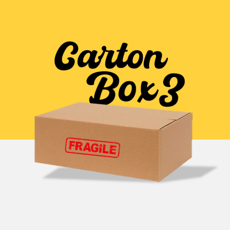 Corrugated Carton Box #3