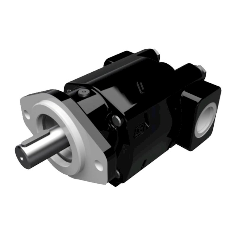 Hydraulic Gear Pump - PGP300