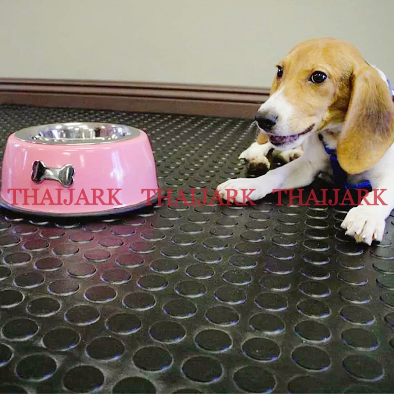 Rubber dog mats for hot sale floor