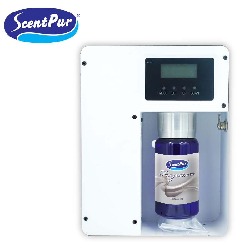 Scent Pur Fragrance (180g)