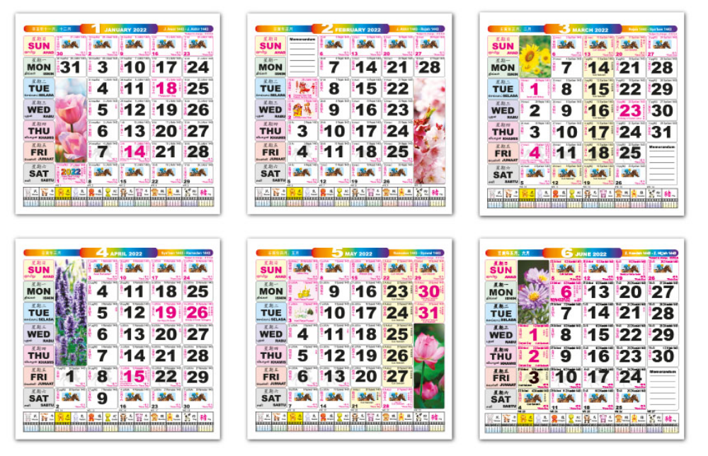 Wall Calendar - Racing Horse (In ream)