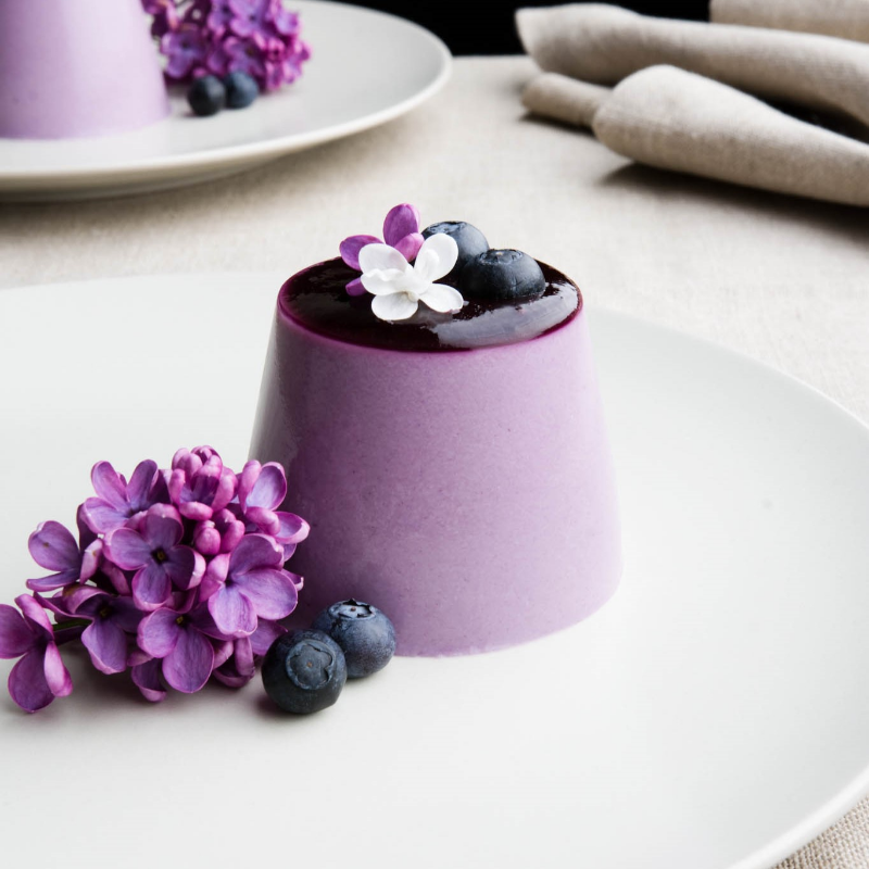 BLUEBERRY PANNA COTTA